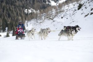 Winterurlaub in Kärnten: Husky Safari 