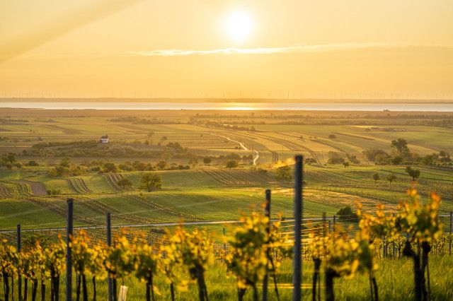 Urlaub Im Burgenland: Die Schönsten To-dos | 1000things