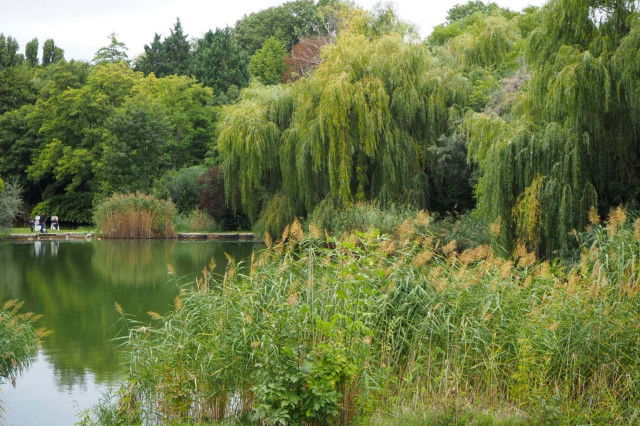 (c) Viktoria Klimpfinger | 1000things Kurpark Oberlaa