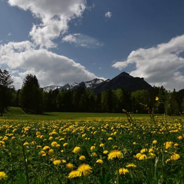 Naturabenteuer in Vorarlberg
