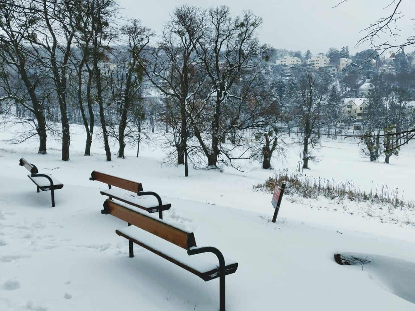 Der Pötzleinsdorfer Schlosspark im Winter. 