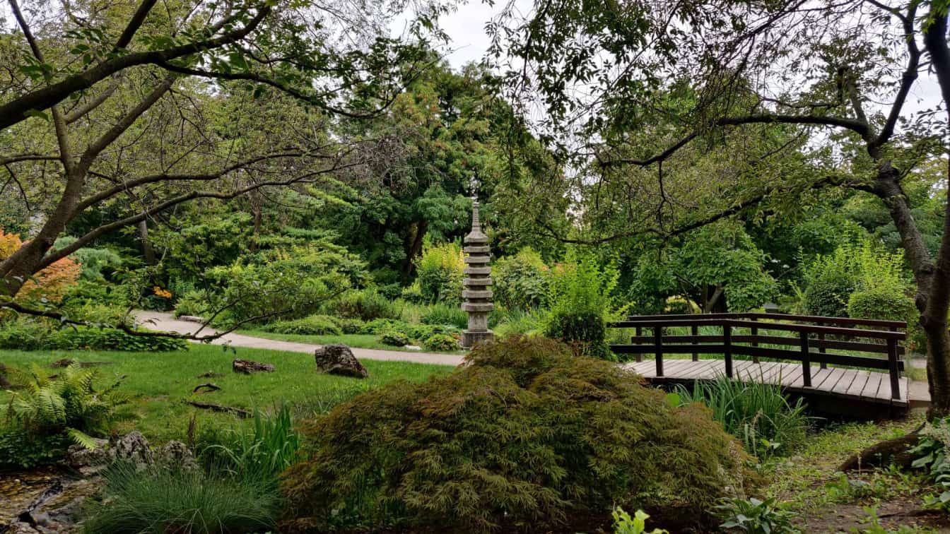 Segatayapark, japanischer Garten in Wien (c) Michael Simmer | 1000things