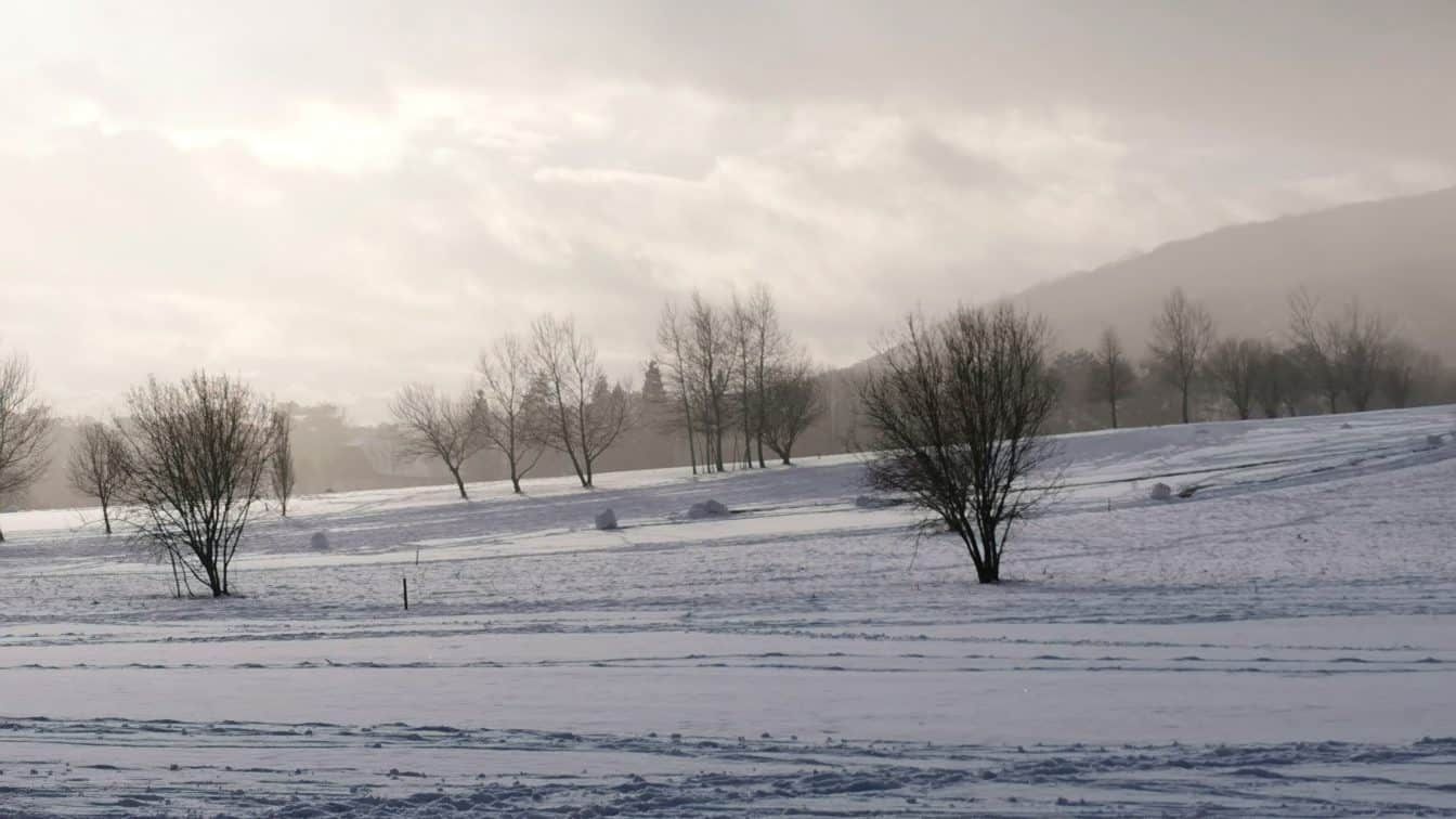 Winter Niederösterreich