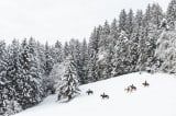 Winter in Oberösterreich