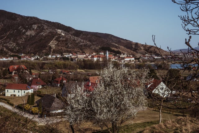 Rossatz in der Wachau (c) Katharina Tesch | 1000things