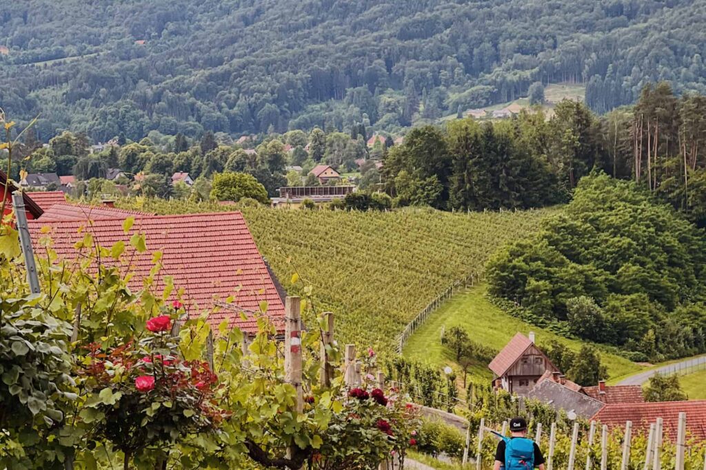 Wanderei Woche 4 Südsteiermark