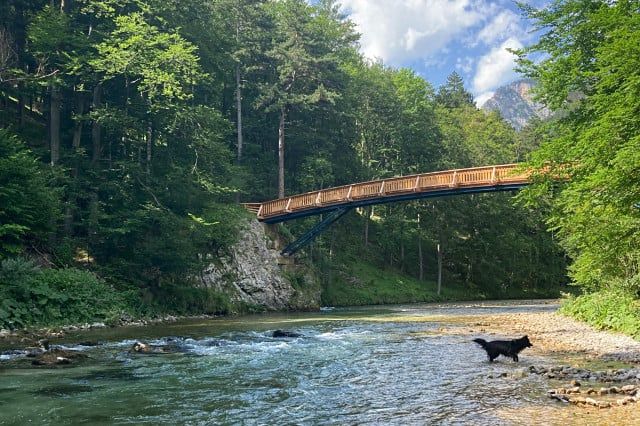 Der Wiener Wasserleitungsweg im Höllental