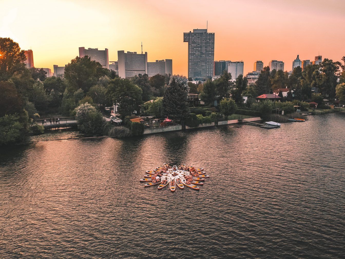 SUP-Boards von Flotus auf der Alten Donau