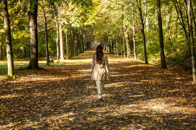 Herbst Spaziergänge Wien