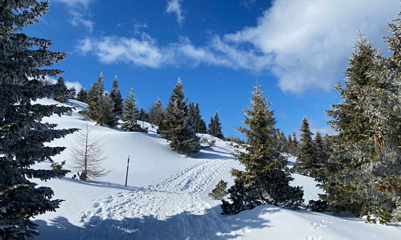 Schneeschuhwandern am Raxplateau