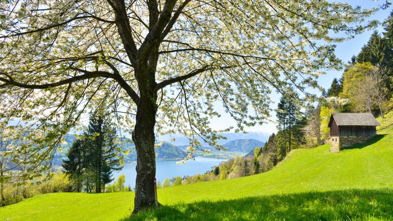 Frühling Ossiacher See Kärnten Werbung