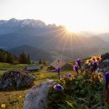 Stuhlalm