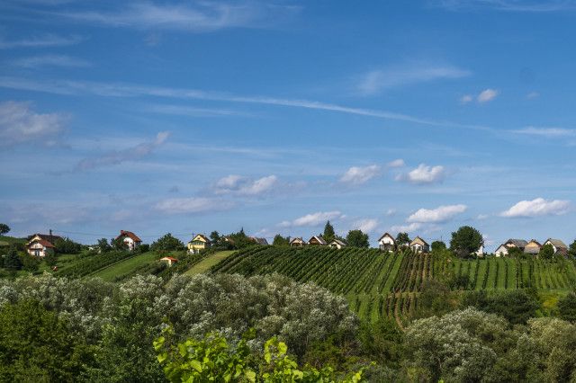 Südburgenland Wein