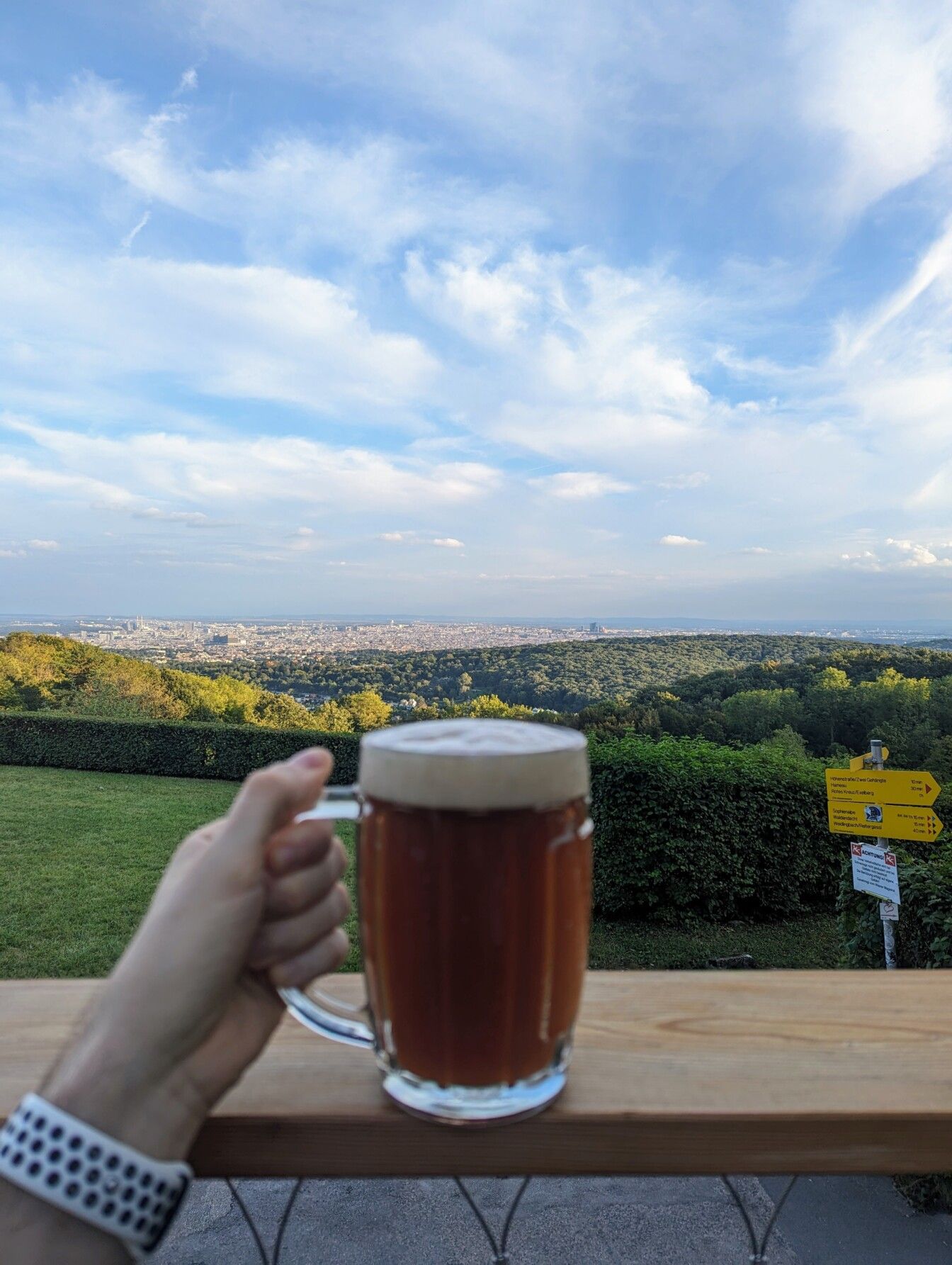 Am Roan Wien Aussicht