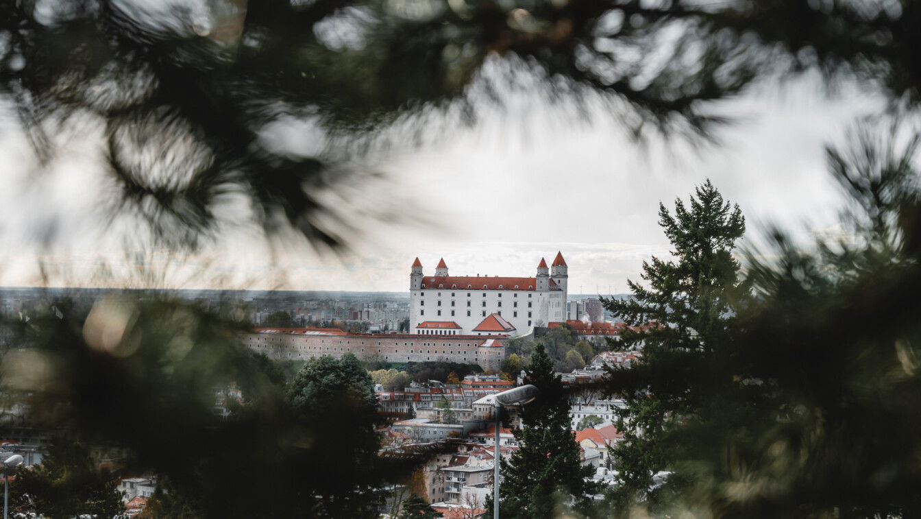 Der Blick auf die Burg Bratislava