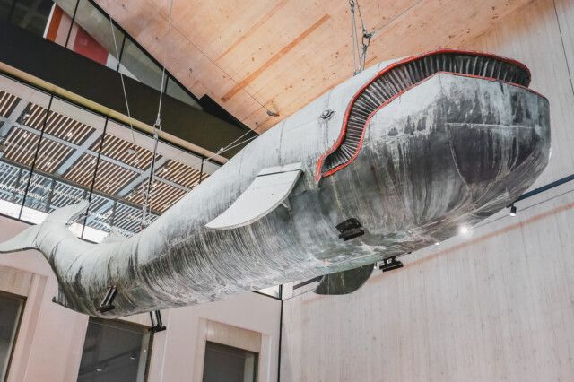 Der Wal im neuen Wien Museum