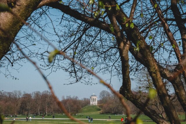 Blick auf den Monopterus im Englischen Garten in München