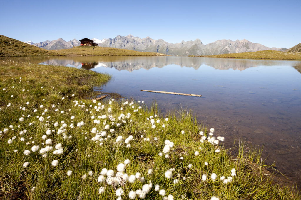 (c) Nationalpark Hohe Tauern | Martin Lugger Virgental Nationalpark Hohe Tauern mit See und Frühlingsboten