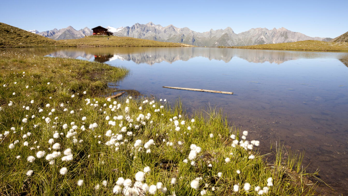(c) Nationalpark Hohe Tauern | Martin Lugger Virgental Nationalpark Hohe Tauern mit See und Frühlingsboten