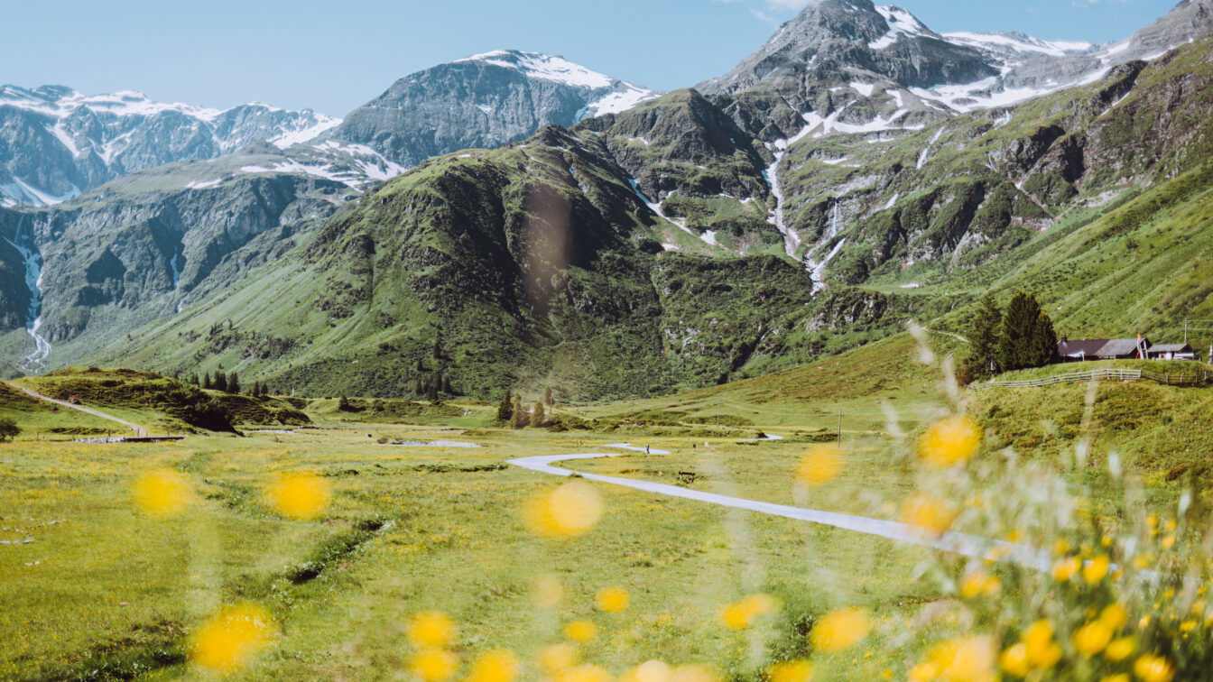 (c) SalzburgerLand Tourismus Gasteinertal im Sommer mit blühenden Wiesen und Bergpanorma