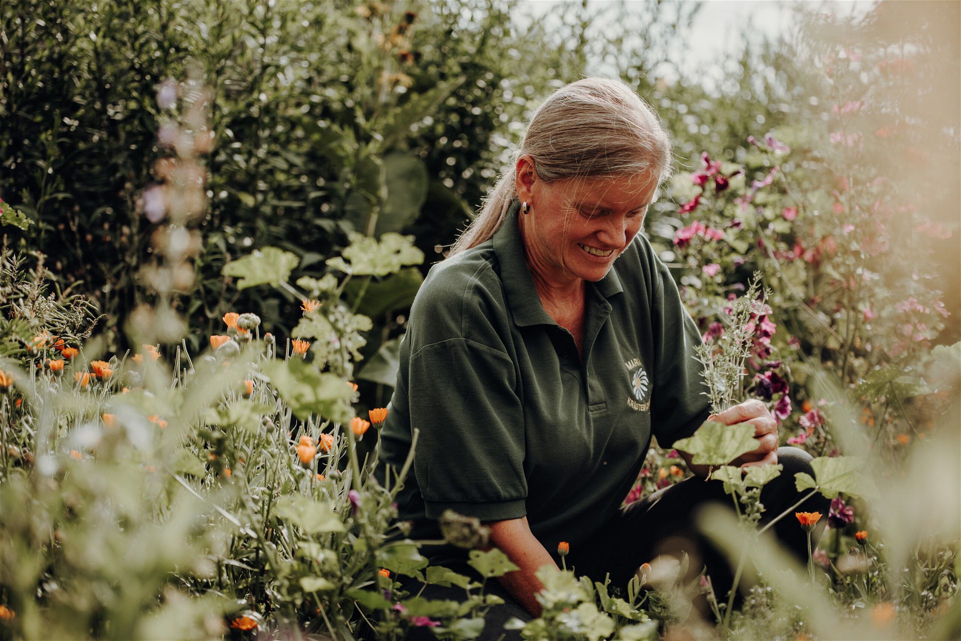 Eine ältere Frau sammelt Kräuter in der Natur, ihre Haare sind grau und zusammengebunden, sie ist umgeben von Pflanzen und lächelt.