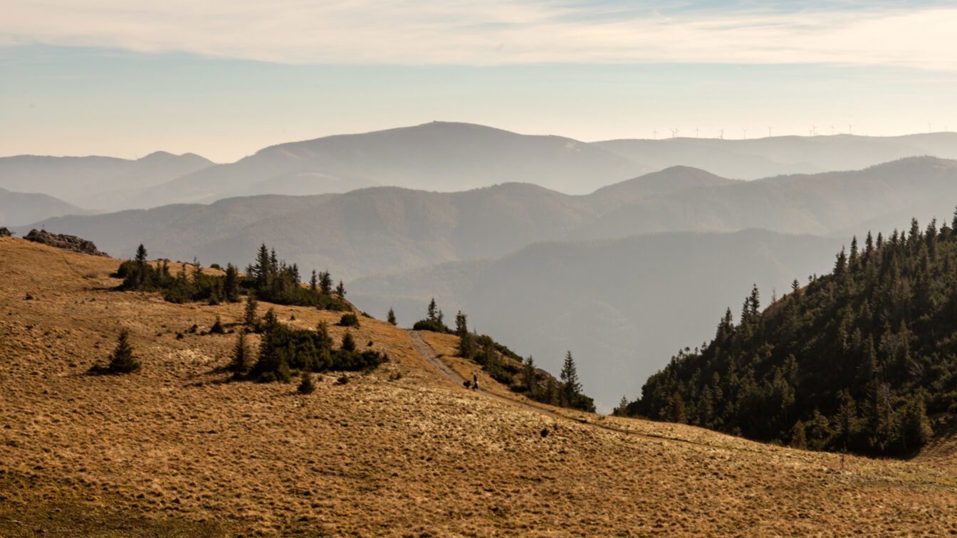 (c) Sonja Koller | 1000things Rax Wandern Österreich