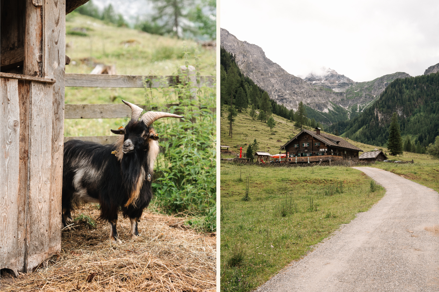 Flachau Tourismus