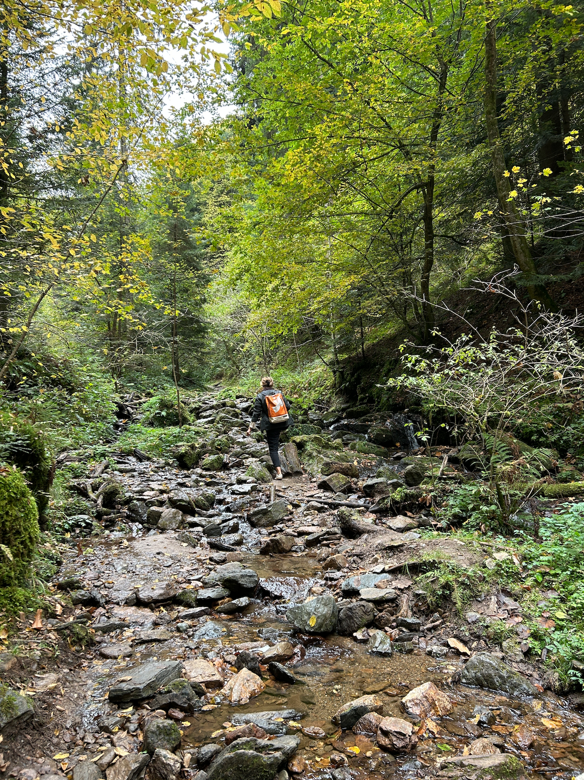 Heiligengeistklamm in der Südsteiermark