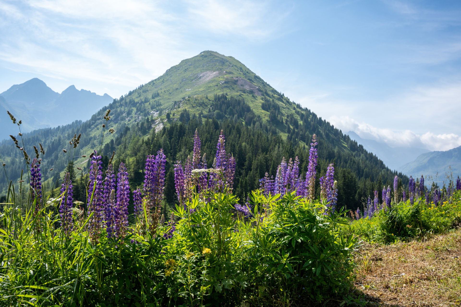 Schladming-Dachstein