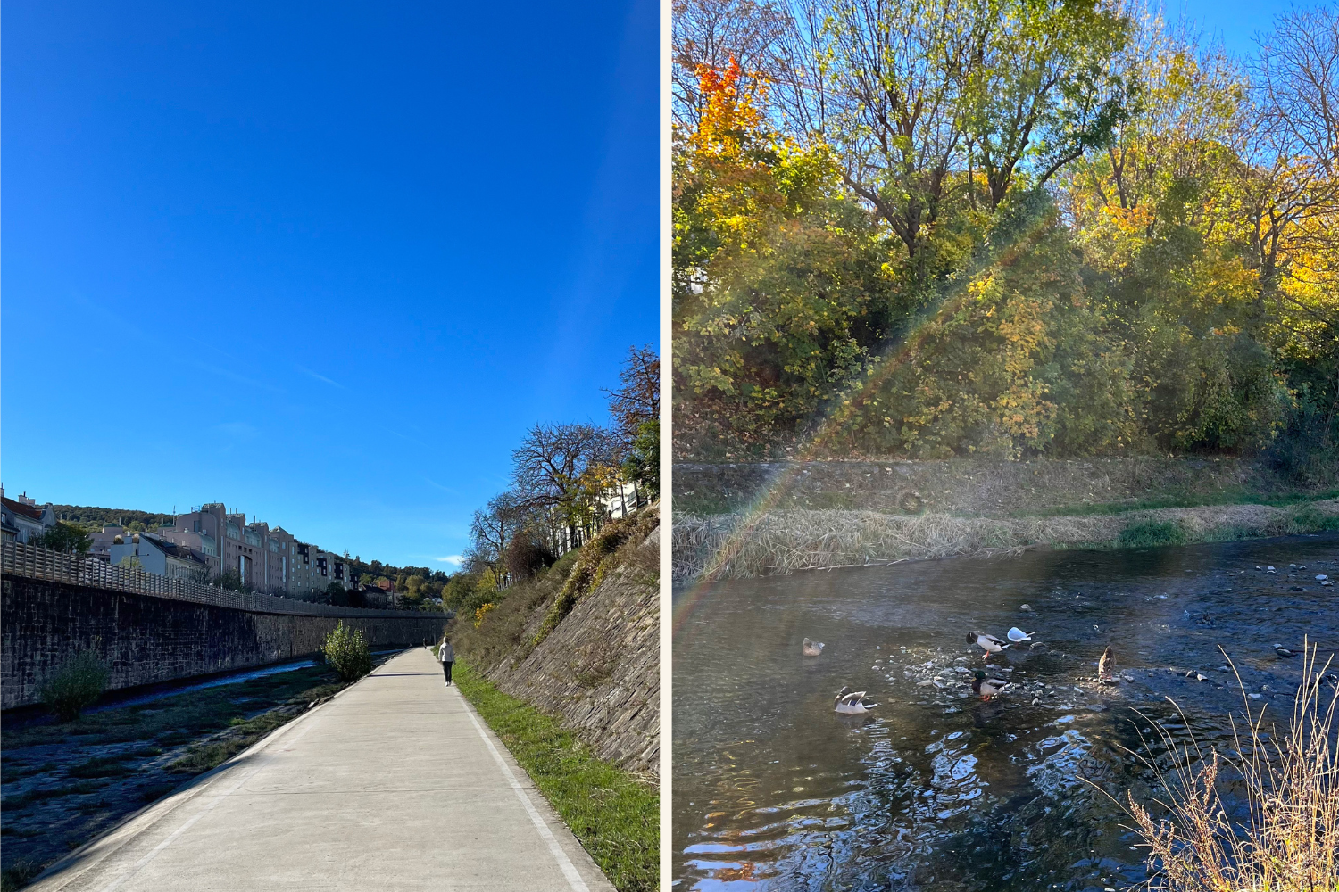 Wienfluss-Weg