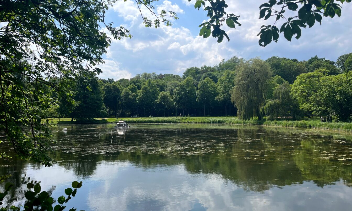 Bois de la Cambre Brüssel