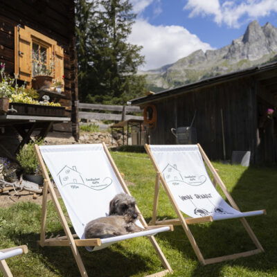 hund auf sonnenstuhl. zandlacherhütte