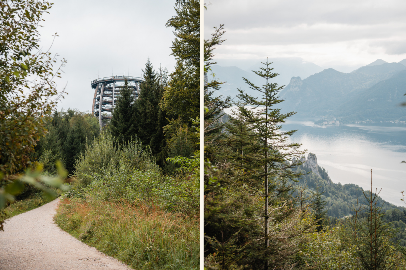 Baumwipfelpfad Salzkammergut