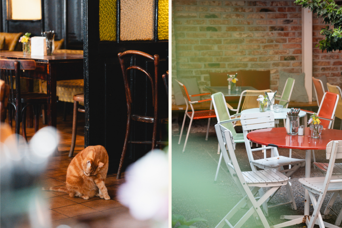 Restaurants 15. Bezirk Kater Luc