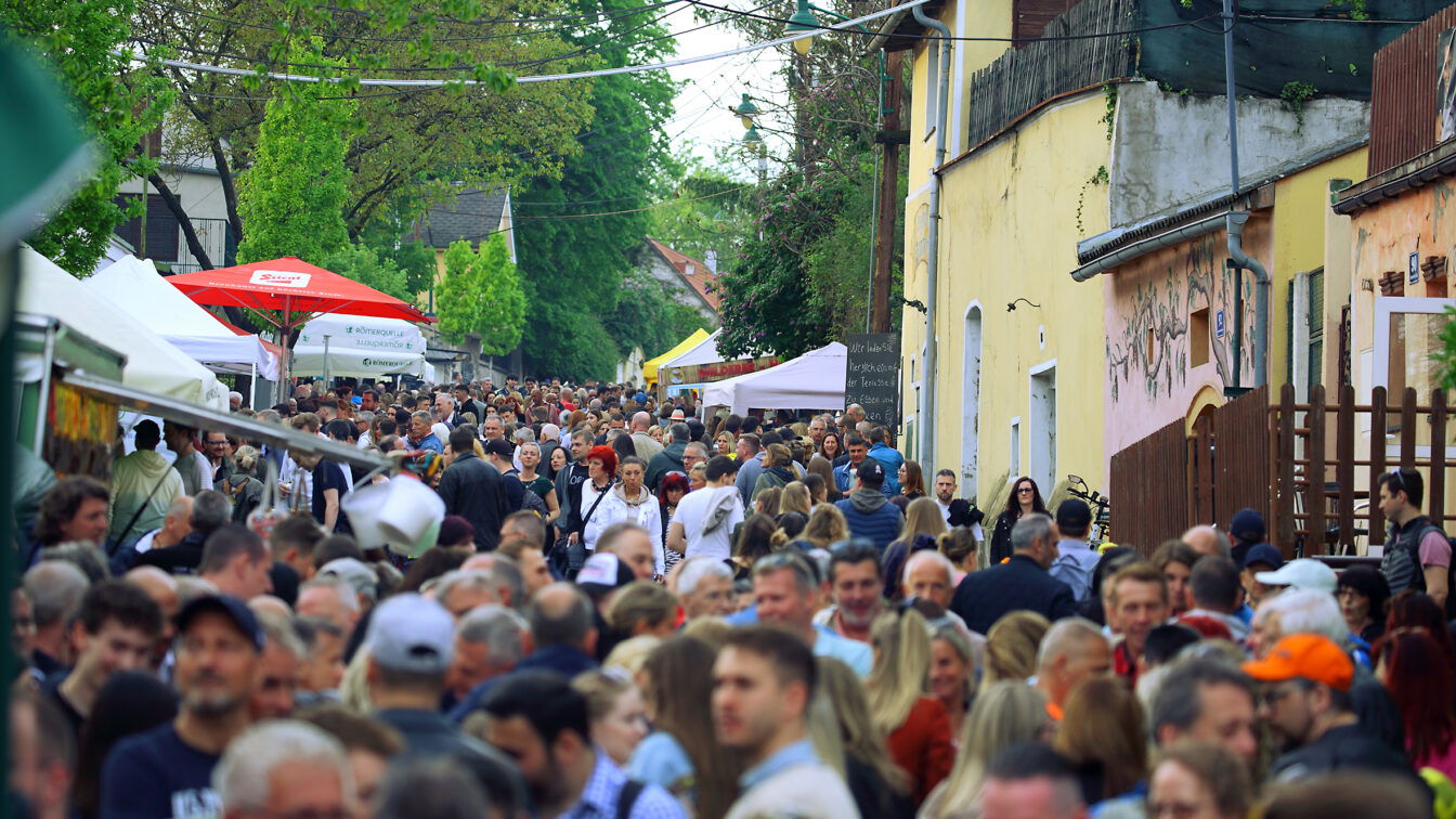 Stürmische Tage Stammersdorf