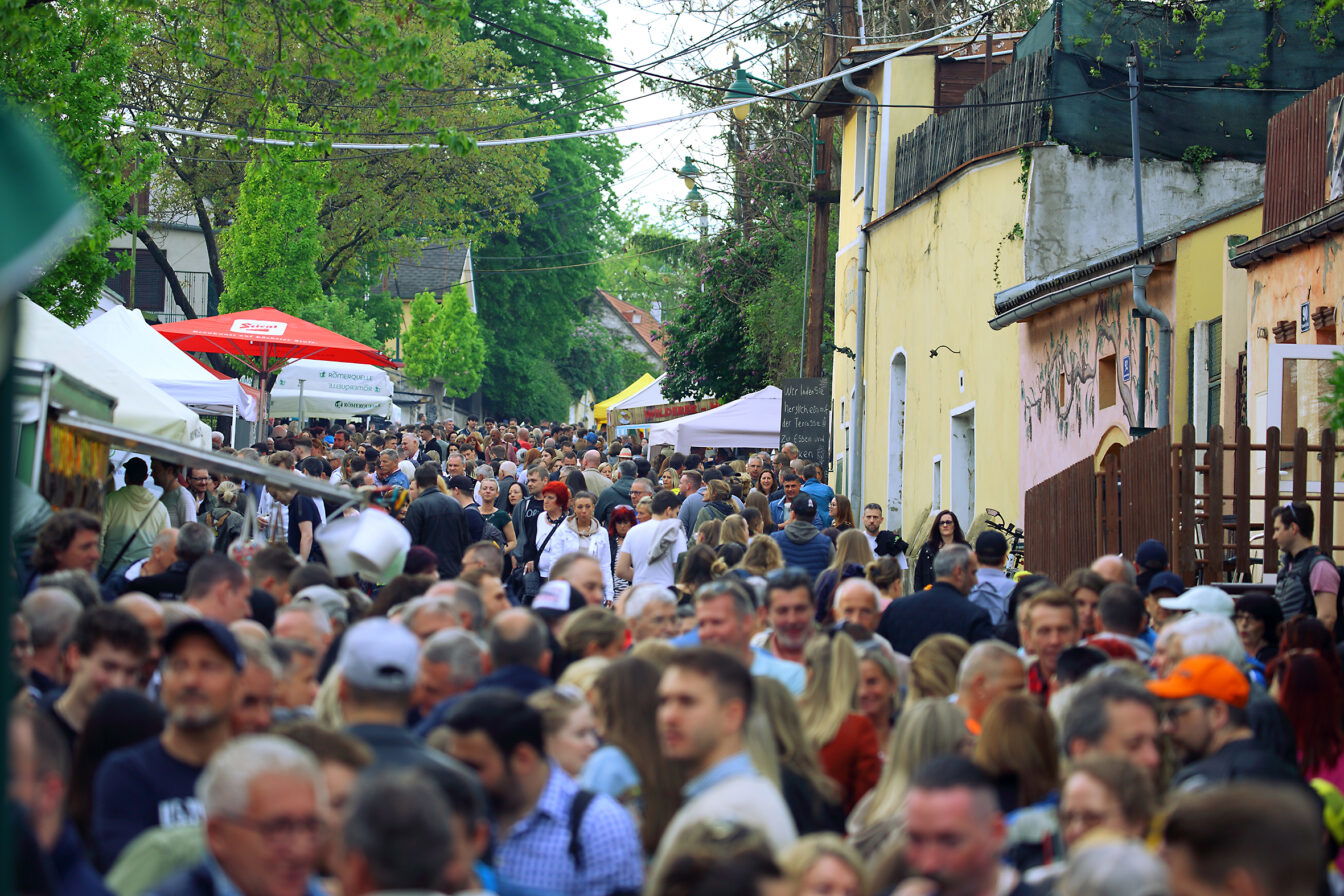 Stürmische Tage Stammersdorf