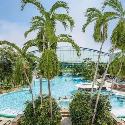 Das Bild zeigt den Innenbereich der Therme Bad Wörishofen, umgeben von hohen Palmen, die ein tropisches Ambiente schaffen. Im Mittelpunkt befindet sich ein großer, rund angelegter Pool, der von vielen Liegestühlen und üppigem Grün umgeben ist. Die Glaskuppel im Hintergrund sorgt für viel Tageslicht, während sich Menschen im Wasser entspannen.