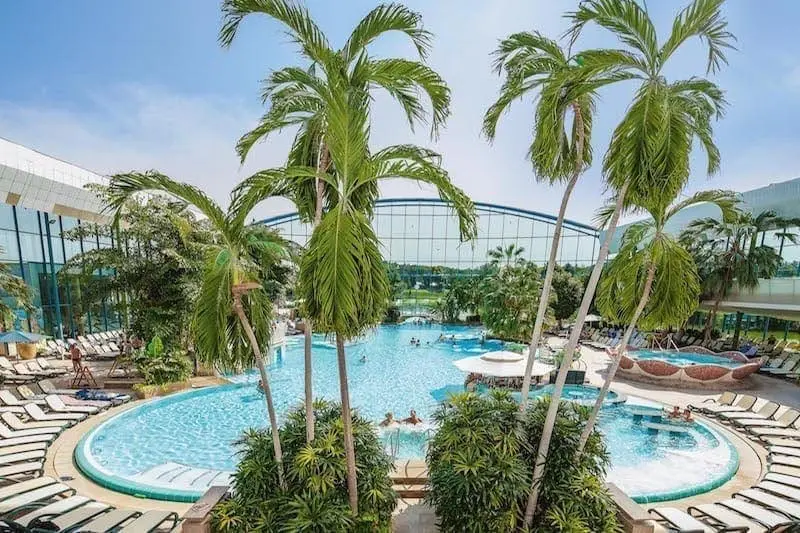 Das Bild zeigt den Innenbereich der Therme Bad Wörishofen, umgeben von hohen Palmen, die ein tropisches Ambiente schaffen. Im Mittelpunkt befindet sich ein großer, rund angelegter Pool, der von vielen Liegestühlen und üppigem Grün umgeben ist. Die Glaskuppel im Hintergrund sorgt für viel Tageslicht, während sich Menschen im Wasser entspannen.