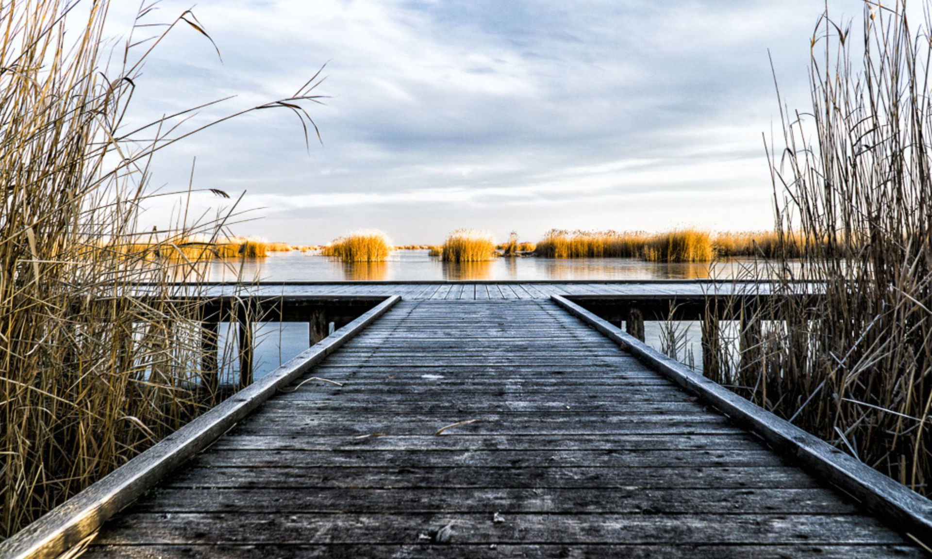 Burgenland Winter