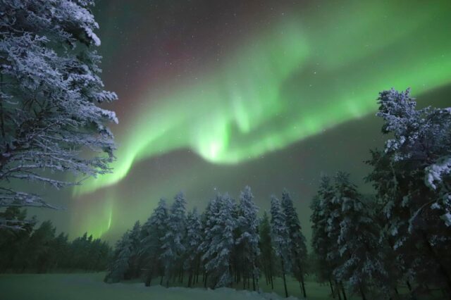 Nordlichter leuchten in intensiven Grüntönen am Nachthimmel über einer verschneiten Winterlandschaft. Schneebedeckte Bäume stehen ruhig im Vordergrund, während die Aurora Borealis in sanften Bögen am Himmel tanzt.