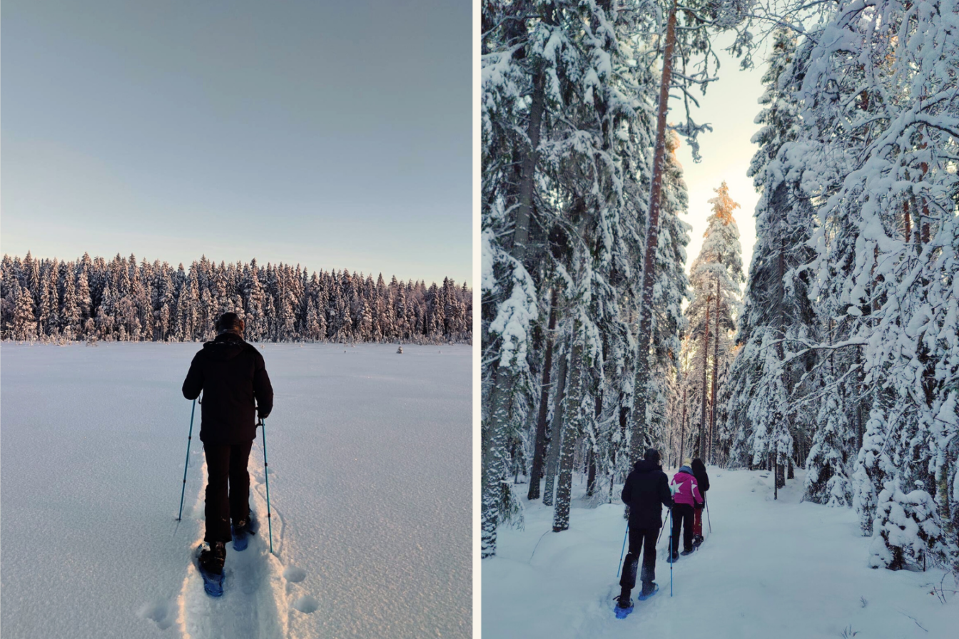 Links: Eine Person wandert mit Schneeschuhen über eine weite, schneebedeckte Fläche, umgeben von einem dichten Wald im Hintergrund, während der Himmel in hellem Blau leuchtet. Rechts: Eine kleine Gruppe von Menschen, ebenfalls mit Schneeschuhen, wandert durch einen dichten, schneebedeckten Waldpfad, von hohen Bäumen umgeben, die die Szene einrahmen.