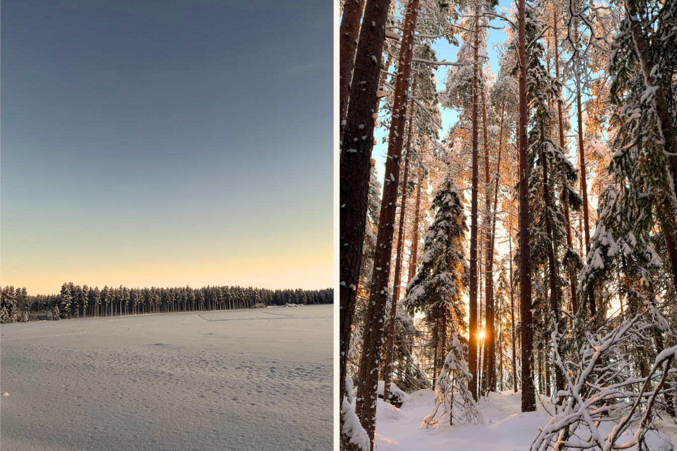 Links: Eine weite, schneebedeckte Fläche unter einem klaren Himmel, der am Horizont sanft von Blau zu einem warmen Gelbton übergeht, mit einer dichten Baumreihe am Horizont.
Rechts: Sonnenstrahlen brechen durch hohe, schneebedeckte Kiefern in einem winterlichen Wald und erzeugen ein warmes Lichtspiel zwischen den Bäumen.