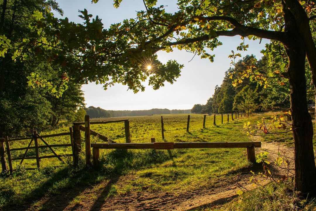 Müritz, Nationalpark, Deutschland