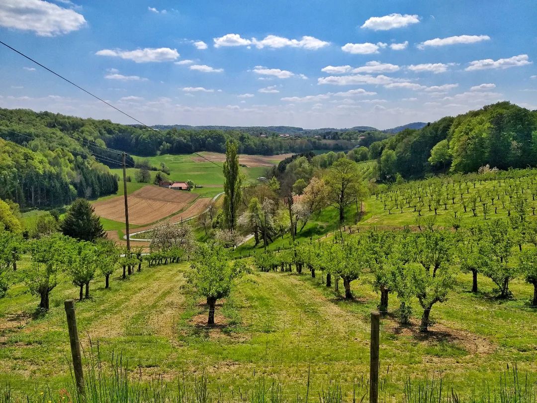 Naturpark Raab, Burgenland