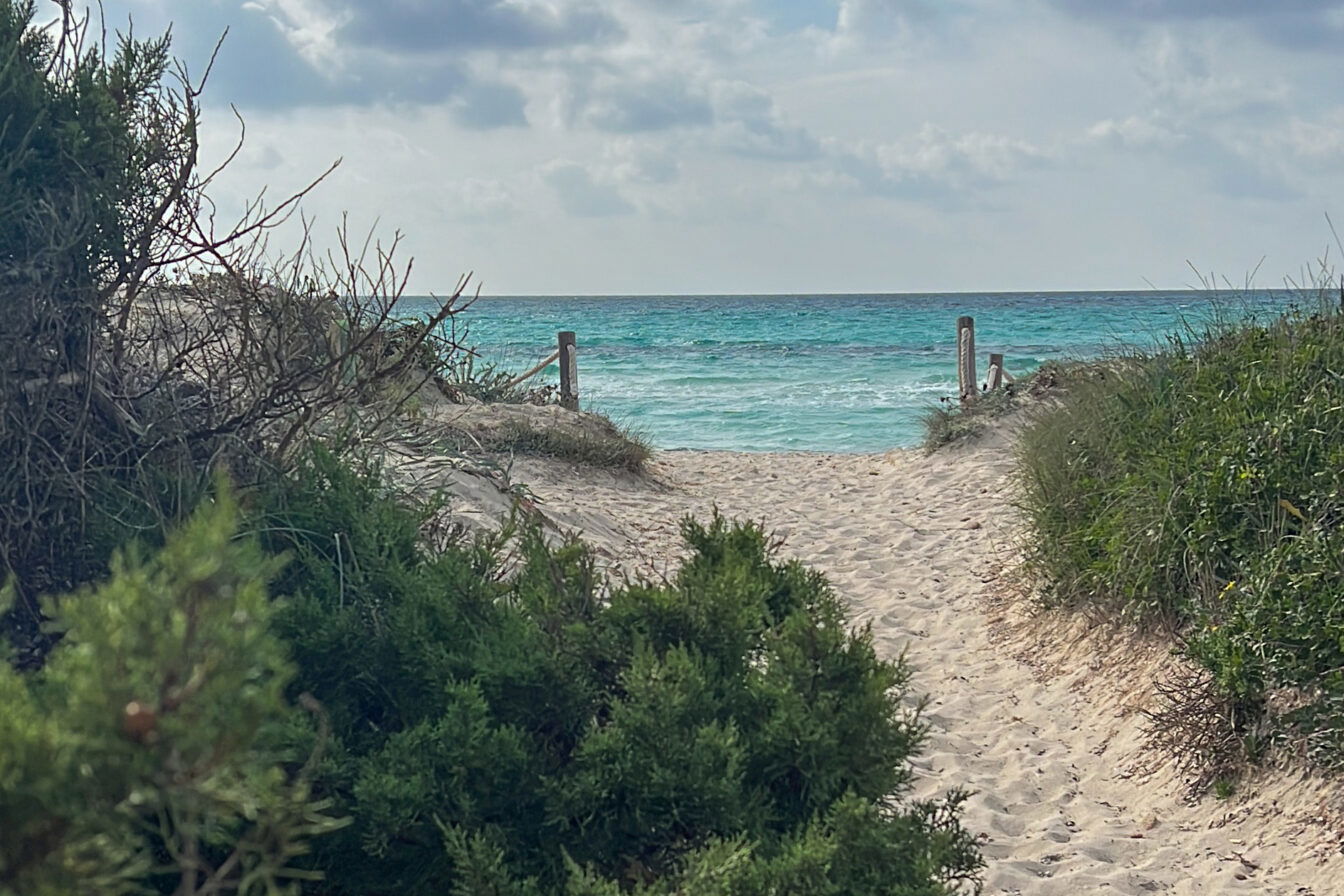 Der Strand von Es Trenc auf Mallorca ist einer der schönsten der Insel.