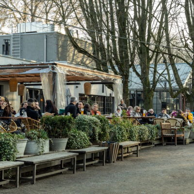 Eine belebte Terrasse des Café am Neuen See im Berliner Tiergarten an einem sonnigen Tag. Gäste sitzen an langen Tischen, umgeben von üppigen Pflanzen und Bänken. Ein Kellner serviert einem Tisch Getränke, während andere Gäste entspannt plaudern oder auf ihre Bestellungen warten. Im Hintergrund sind Bäume mit noch wenigem Laub zu sehen, und die Architektur des Cafés zeigt moderne Elemente mit transparenten Wänden. Die Atmosphäre ist freundlich und einladend, mit einem entspannten, sommerlichen Flair.