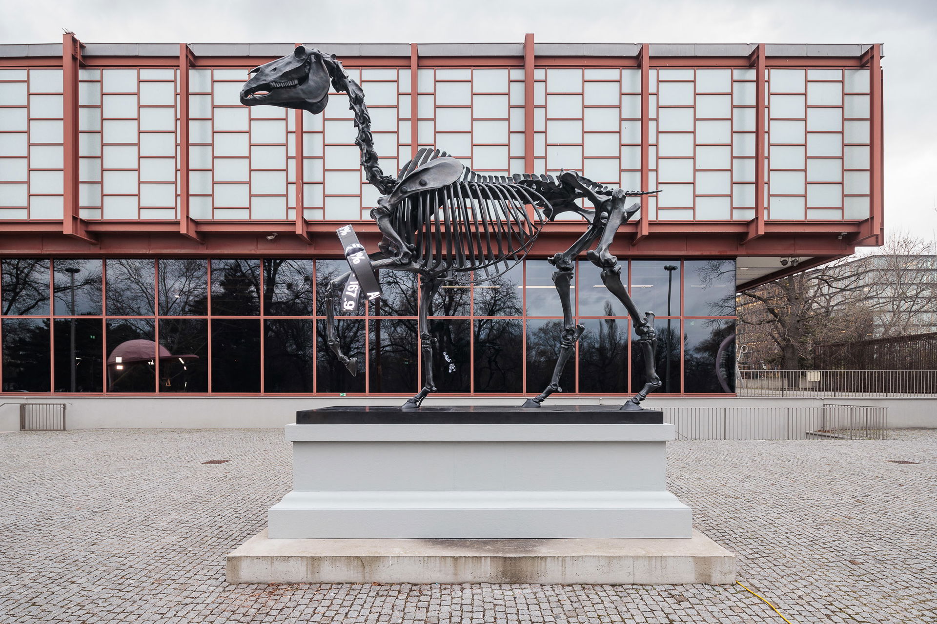 Skulptur Geschenkter Gaul von Hans Haake vor dem Belvedere 21