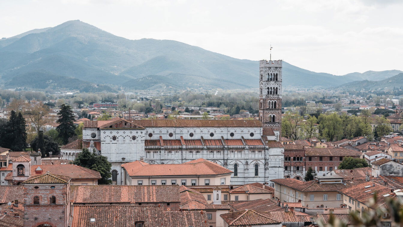 Der Blick über Lucca vom Guinigiturm aus. (c) Lilli Wermuth | 1000things Der Blick über Lucca (Toskana) vom Guinigiturm aus.