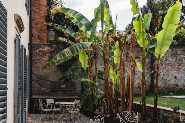 Der Garten des Numa Florence Palazzo San Niccolò.