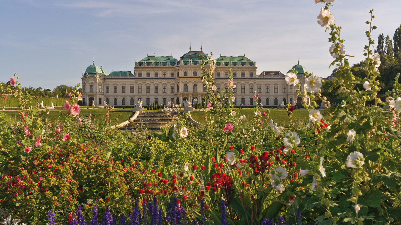 (c) Belvedere Außenansicht Schloss Belvedere mit Frühlingsblumen im Vordergrund